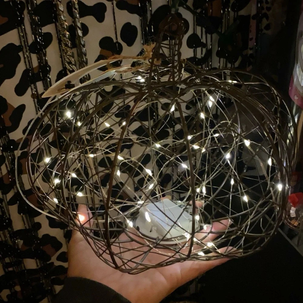 FALL FEST WIRE LIGHT UP PUMPKIN